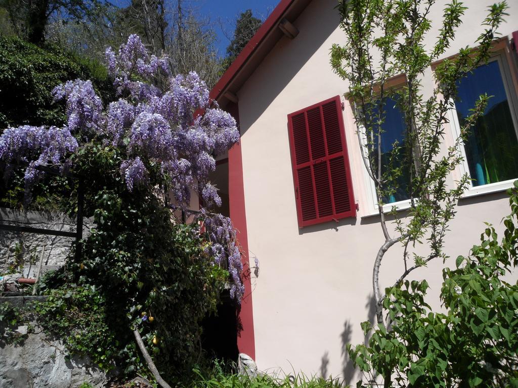 Chambres D'Hotes Casa Sylvana Saint-Dalmas-de-Tende Zewnętrze zdjęcie