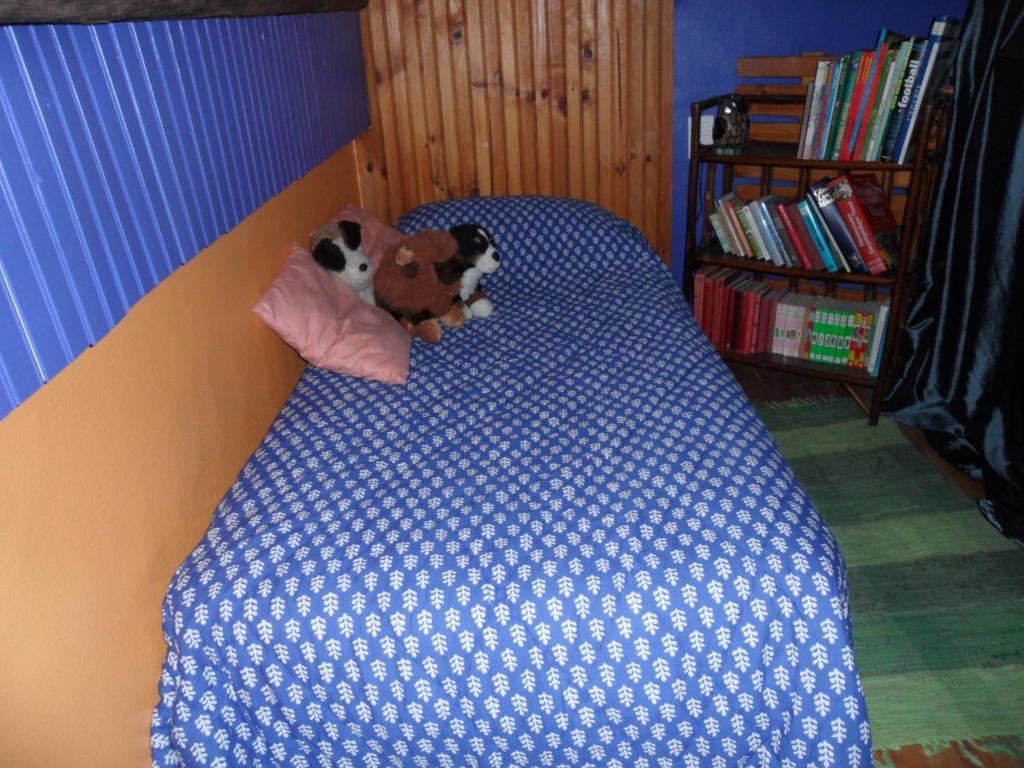 Chambres D'Hotes Casa Sylvana Saint-Dalmas-de-Tende Pokój zdjęcie
