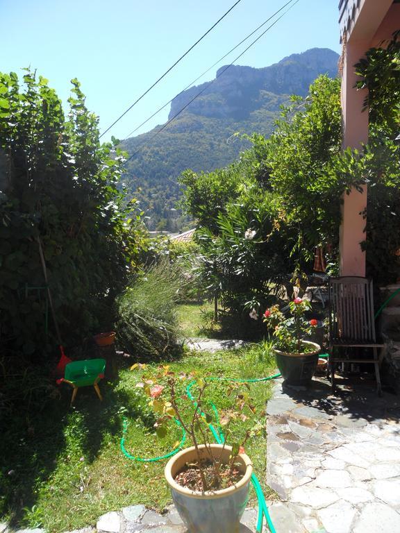 Chambres D'Hotes Casa Sylvana Saint-Dalmas-de-Tende Zewnętrze zdjęcie